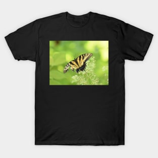 Tiger Swallowtail Butterfly 2021 T-Shirt